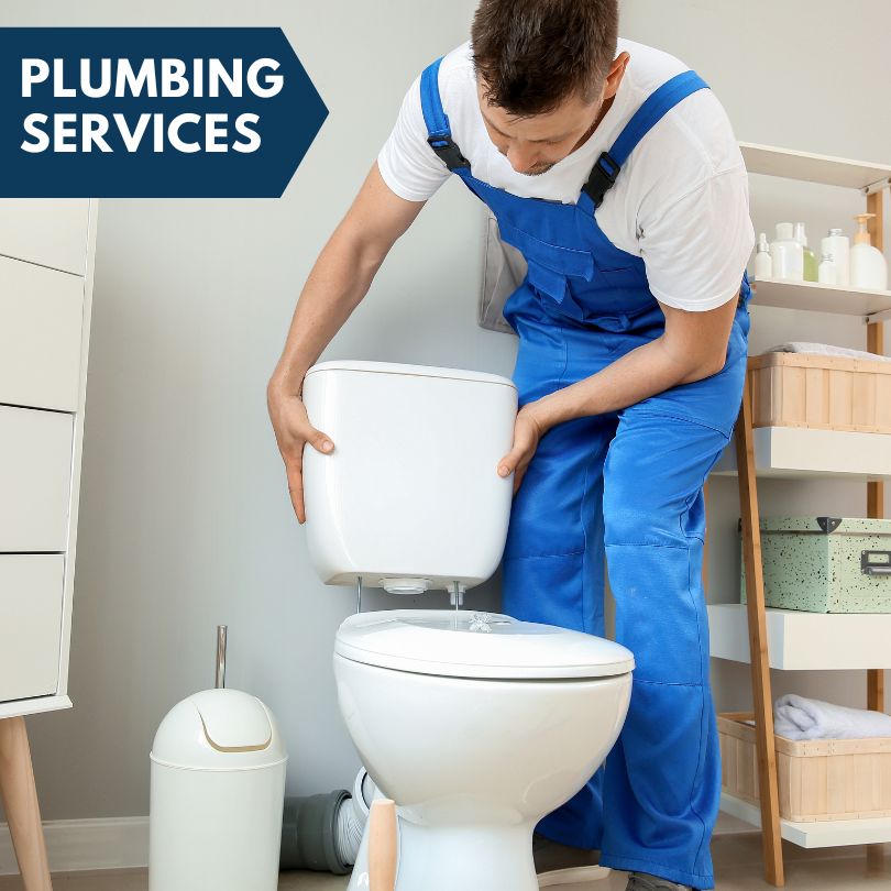 Plumbing Company in Munith, MI